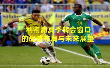 利物浦夏季转会窗口的战略布局与未来展望