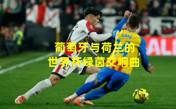 葡萄牙与荷兰的世界杯绿茵交响曲