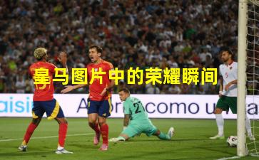 皇马图片中的荣耀瞬间